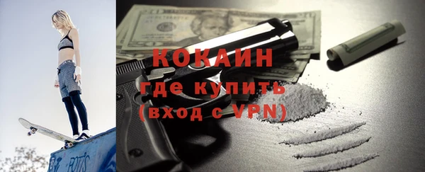 шишки Бронницы