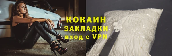 шишки Бронницы