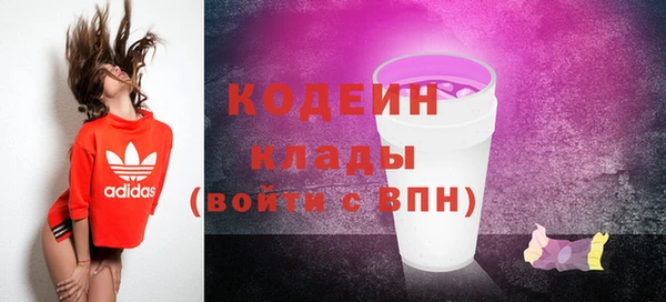 шишки Бронницы