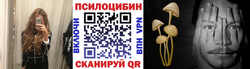 цены   Калуга  Псилоцибиновые грибы GOLDEN TEACHER 
